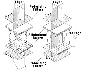 Lcd Cell